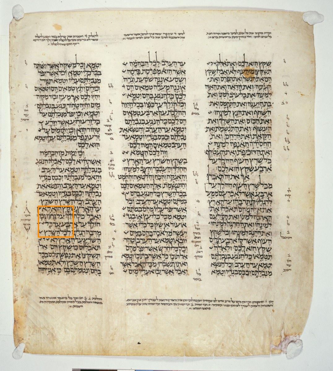 The Middle Letter of the Torah — Leviticus 11:42 in the Leningrad Codex