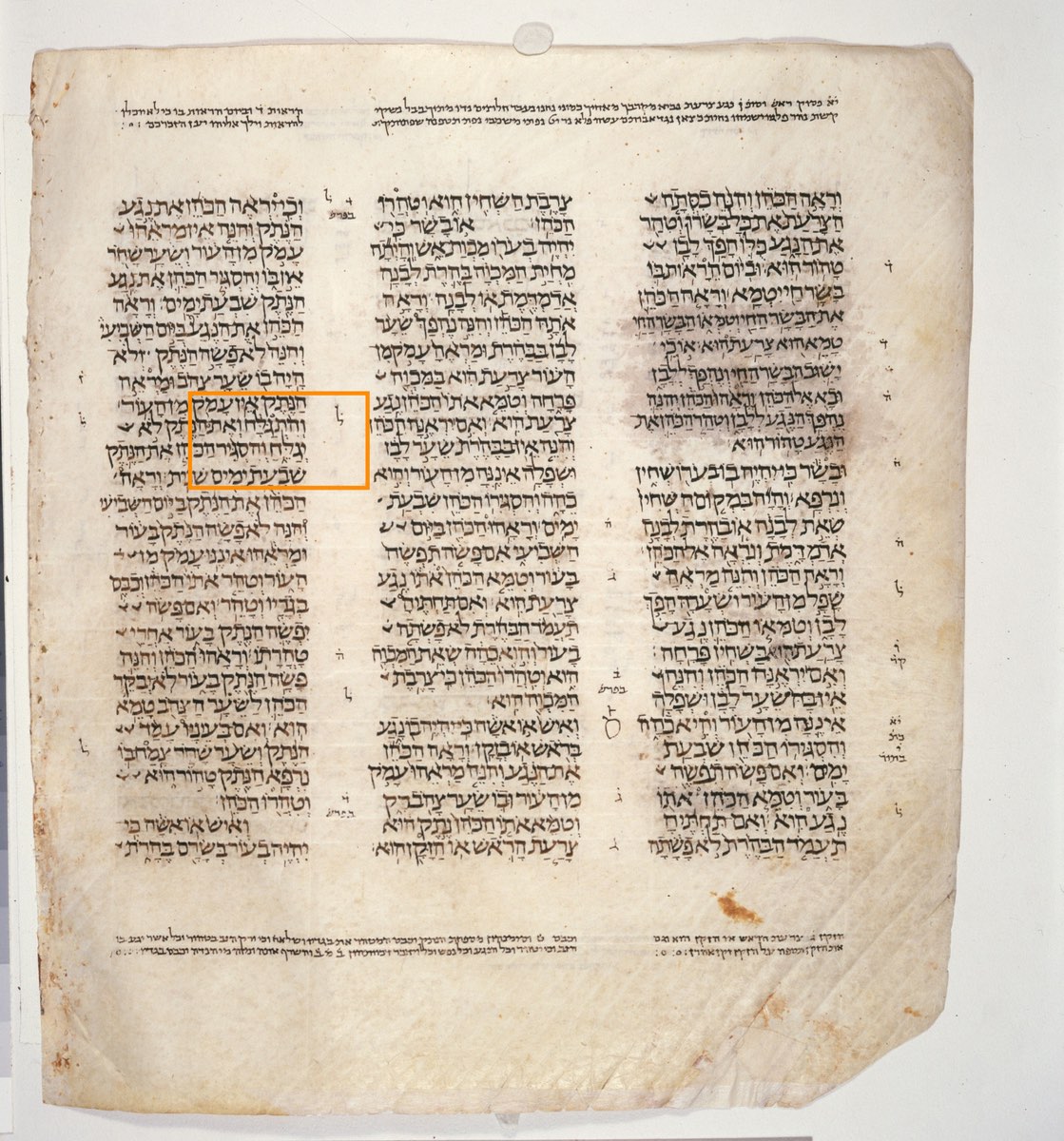 The Large Gimel of the Shaving Law — Leviticus 13:33 in the Leningrad Codex
